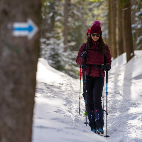 Kije trekkingowe Volven Adventure Pro - czerwony - w górach zimą