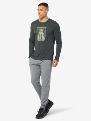 Koszulka męska z wełny merino Super.Natural Bearski LS z długim rękawem - szary