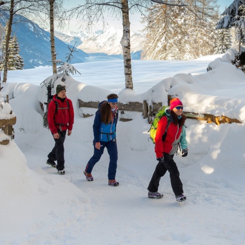 Raczki turystyczne Snowline Spikes - użycie