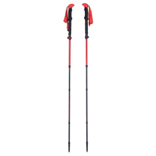 Kije trekkingowe Viking Spider FS