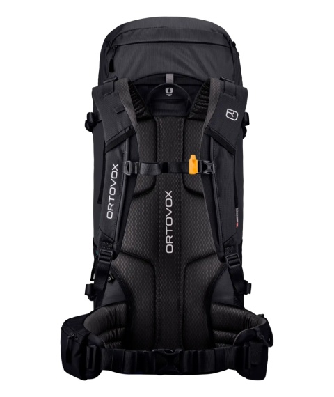 Plecak wysokogórski Ortovox Peak 35 - black raven (czarny) - plecy