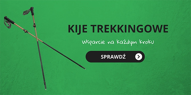 Kije trekkingowe